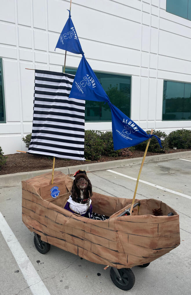 Ahoy mateys!