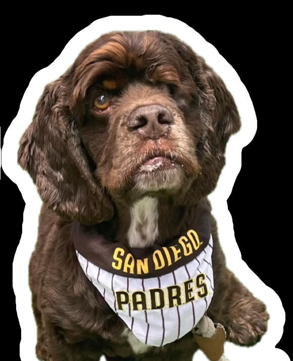 Go Padres