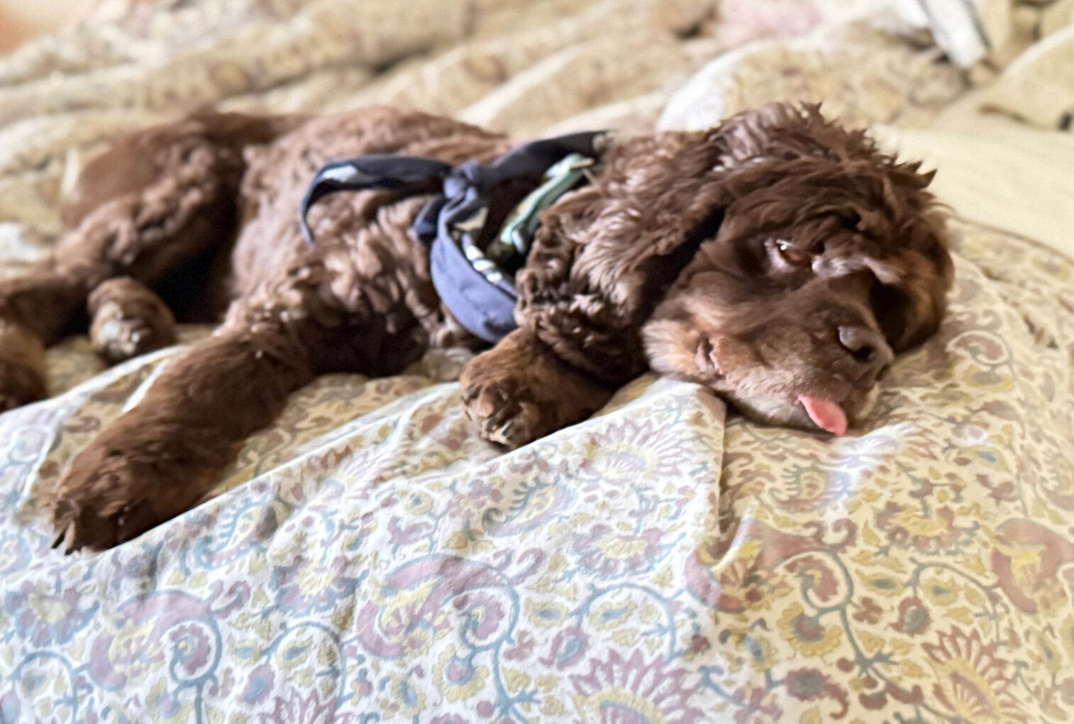 My tongue is perfect